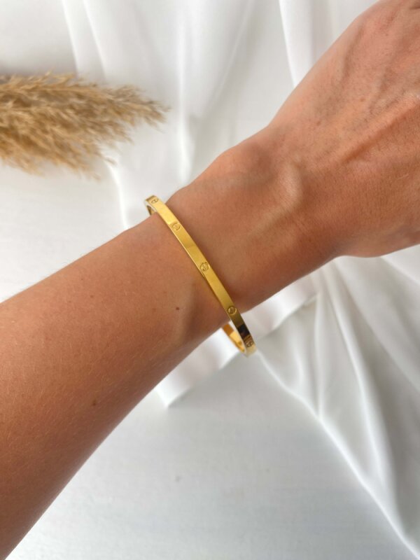 Üzeri Yuvarlak Desenli Kelepçe - 2