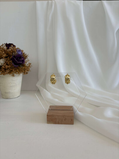 Yılan Derisi Görünümlü Küpe